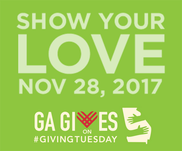 georgia gives day 2017