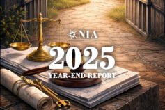 2025 Year-End Report – National Incarceration Association